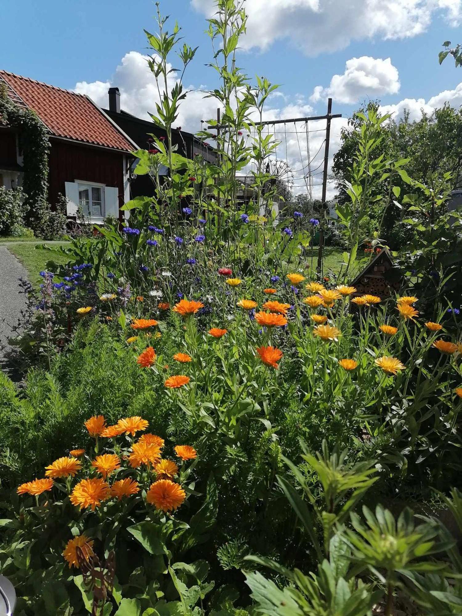 Rustik Stuga Med Lantlig Kaensla Naera Oerebro City Esterno foto