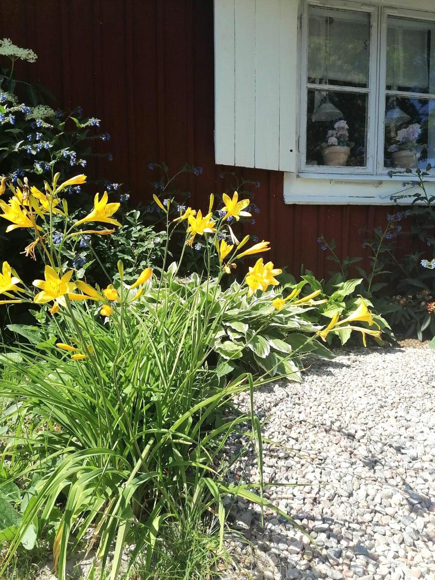 Rustik Stuga Med Lantlig Kaensla Naera Oerebro City Esterno foto